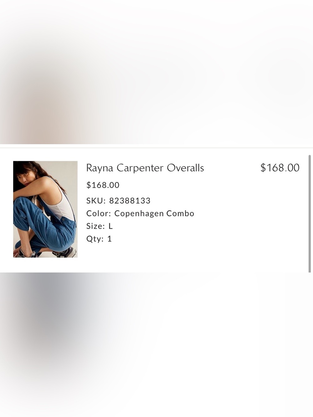 Rayna Carpenter Overalls - Picture 3 of 3